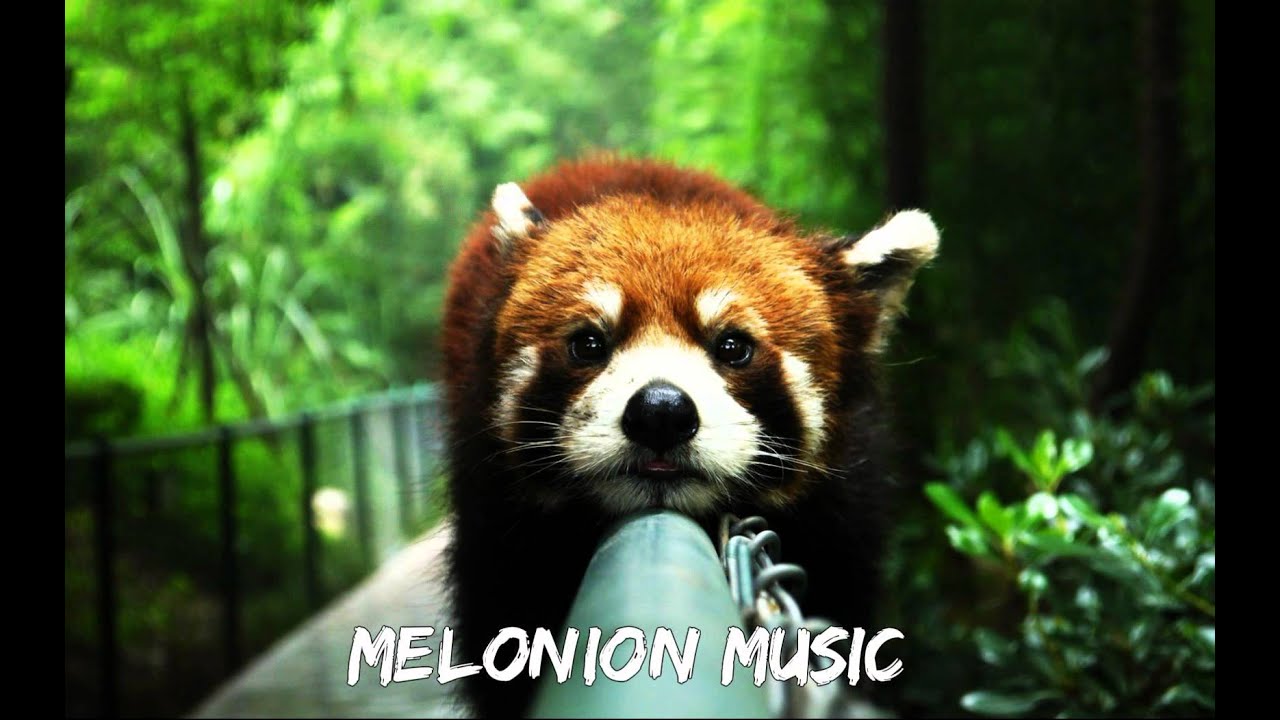 Jacob A Neevald - Everything is Alright Going (Deeper Remix)