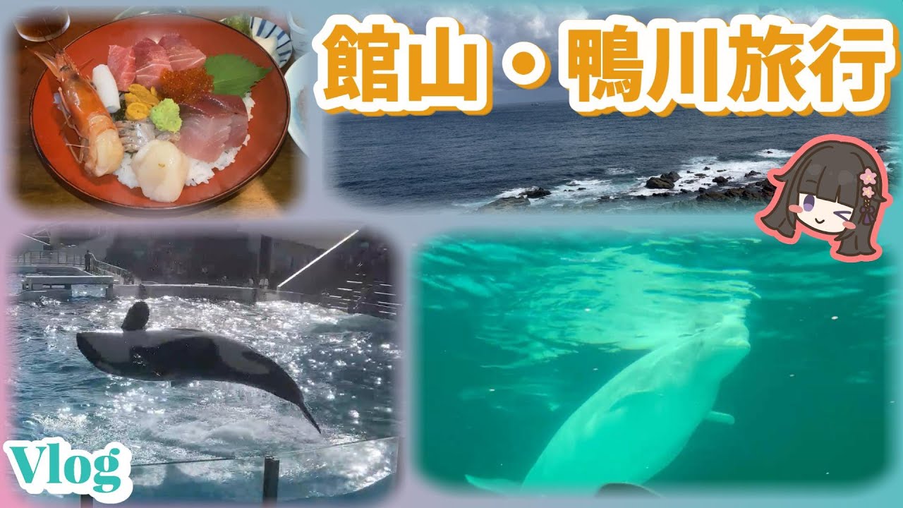 晴れパークたてやま / 沖ノ島 / 洲埼灯台 / 野島崎 / Kamogawa SEA WORLD / なかむら小湊店
