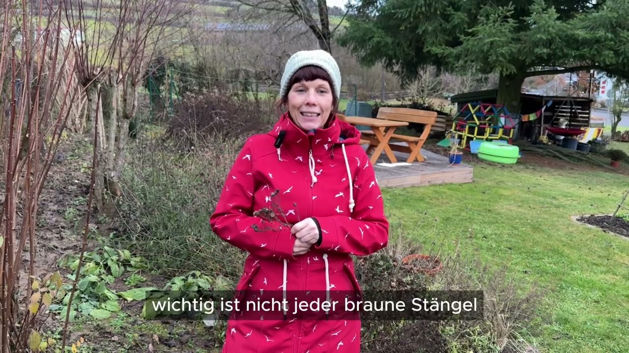 Winterharte Stauden