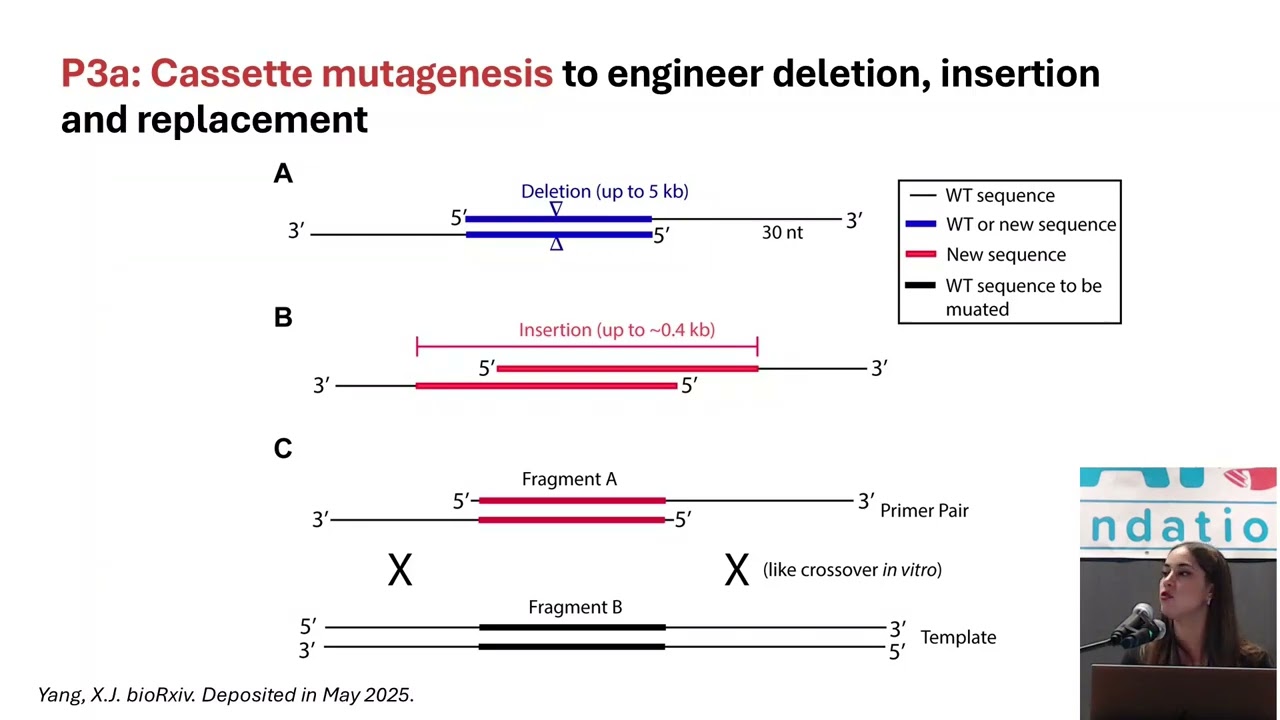 Highly Efficient Mutagenesis Methods to Engineer KAT6 for Functional Analyses in vitro