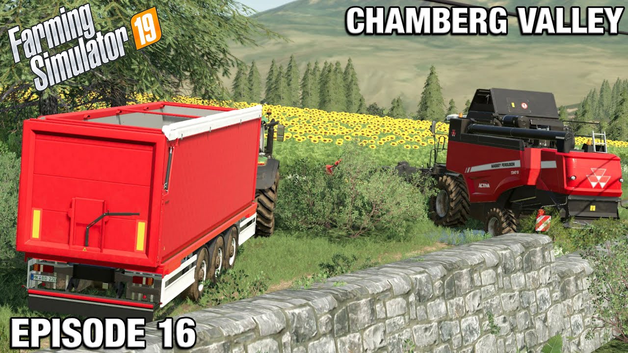 SUNFLOWER CROP FOR BIODIESEL - Chamberg Valley FS19 Ep 16