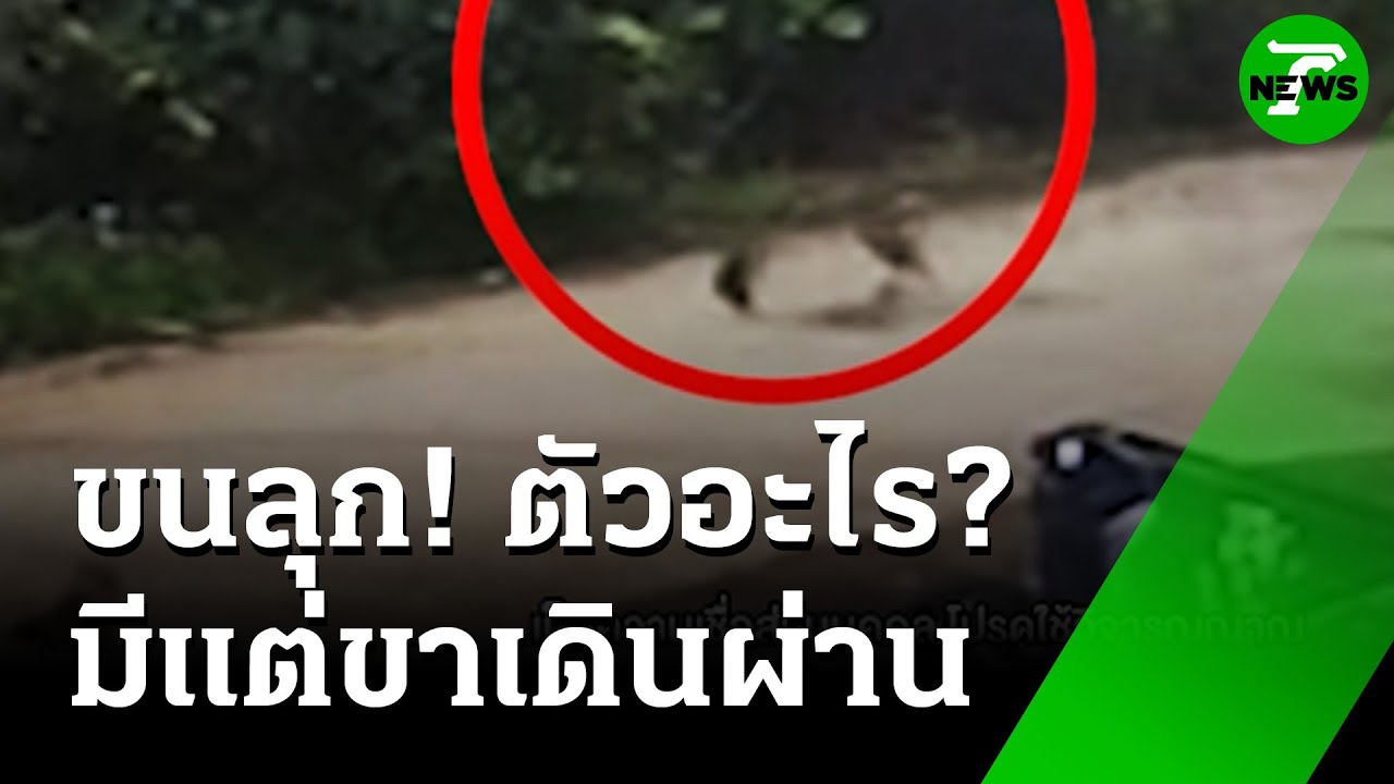 ขนลุก! มีแต่ขา เดินผ่านหน้าบ้านกลางดึก | 24 ก.ค. 68 | ข่าวเช้าหัวเขียว