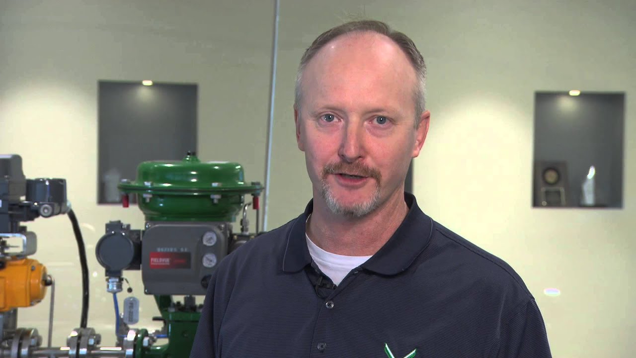 DeltaV SIS: Proof Testing