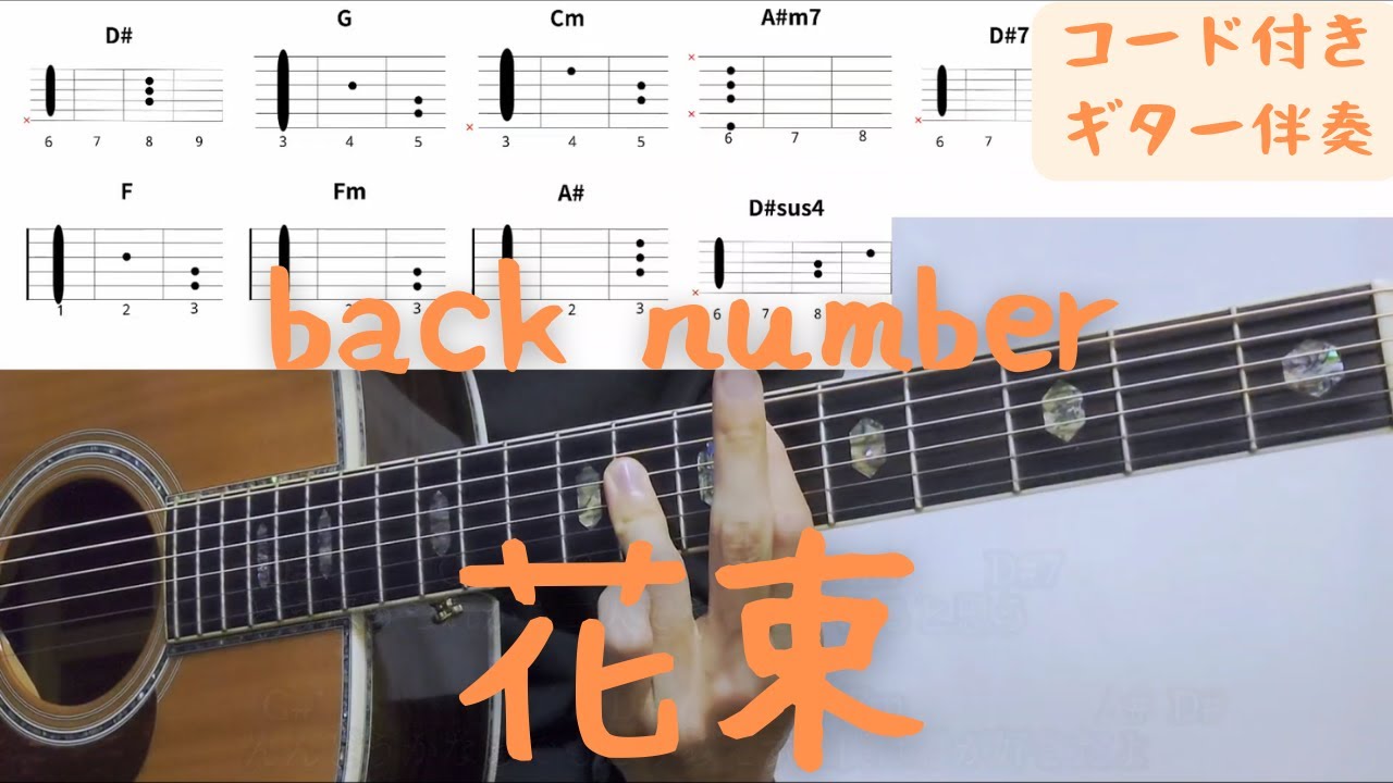 【ギターコード付き】back number/花束【アコギ弾いてみた】