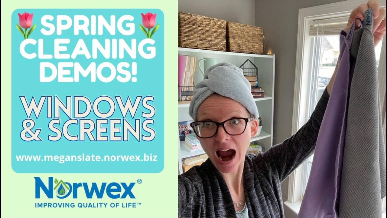 NEW Spring Cleaning Hacks with Norwex-Windows, Mirrors, Window Screens, and more!