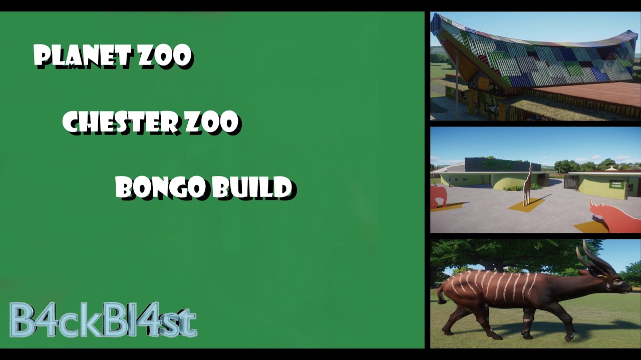Planet Zoo Chester Zoo -  Bongo Build