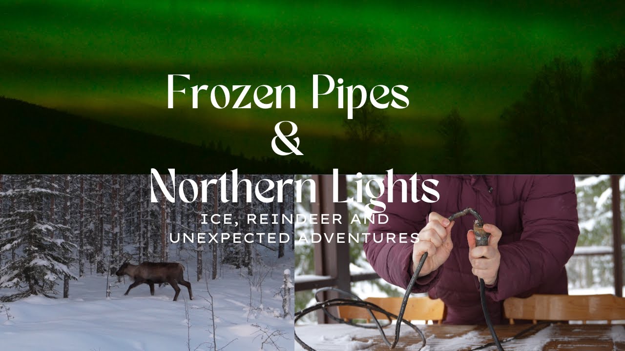 Extreme Winter in Northern Sweden | Frozen pipes, reindeer & Northern Lights