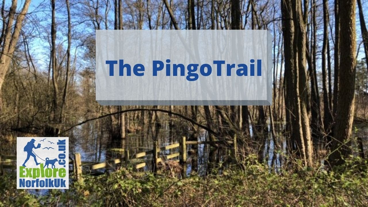 The Pingo Trail Norfolk Circular Walk