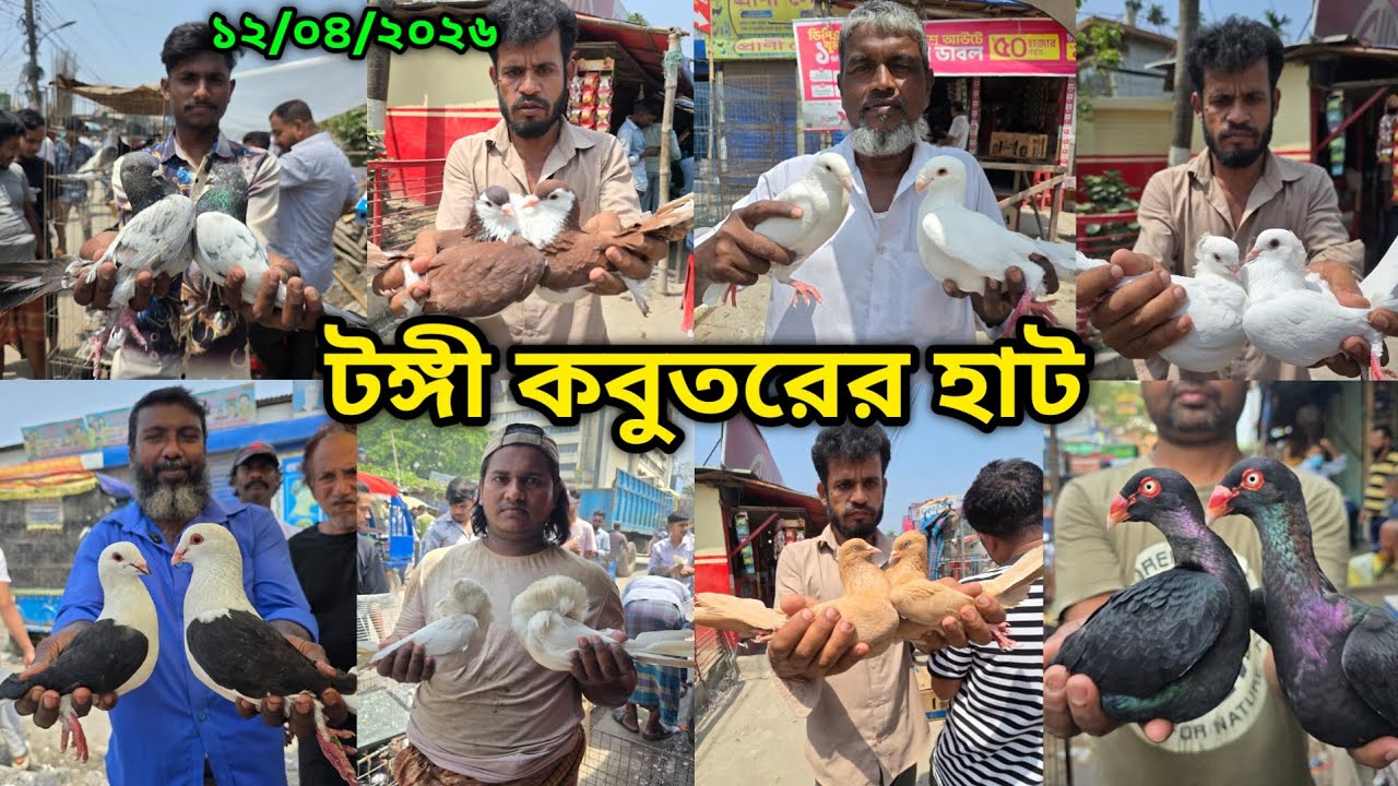 প্রচন্ড গরমেও জমজমাট টঙ্গী হাট | Tongi kobutor hat 2026 | Biggest Pigeon Market in Bangladesh 2026