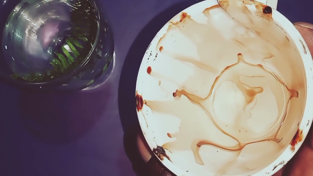 PISCIS ♊ SE ACERCA LO MEJOR PARA TI 💰 Hoy Lectura de la Taza de café para el Signo Piscis ♓ Hoy 🔮