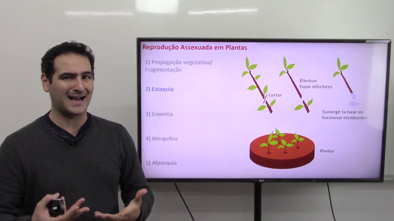 ESTAQUIA, ENXERTIA, ALPORQUIA e MERGULHIA - Reprodu&ccedil;&atilde;o ASSEXUADA em ANGIOSPERMAS