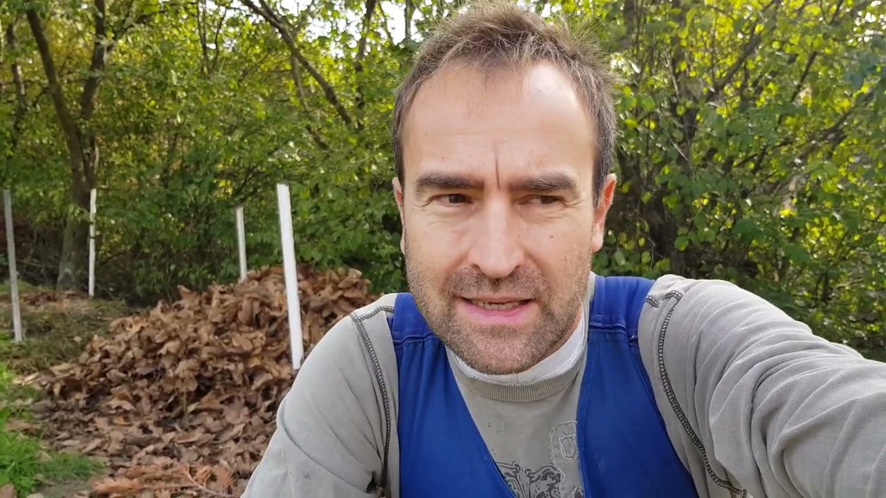 Lehet-e komposztálni a diófa levelet? Öntsünk végre tiszta vizet a pohárba!