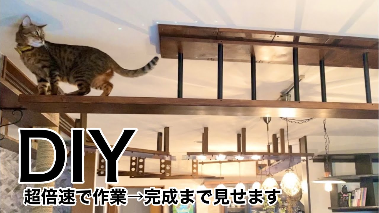 【DIY】家中に猫の遊び場作ってみた！作業から完成まで。一気に超倍速で見せます（その②）Rooms for Cats.