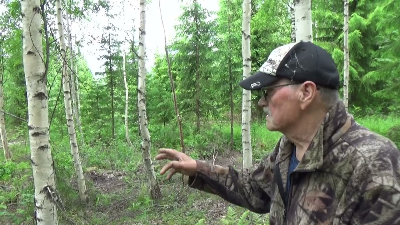 Metsolan Metsäkoulu 390 - Metsänhoidon mullistava taktiikka