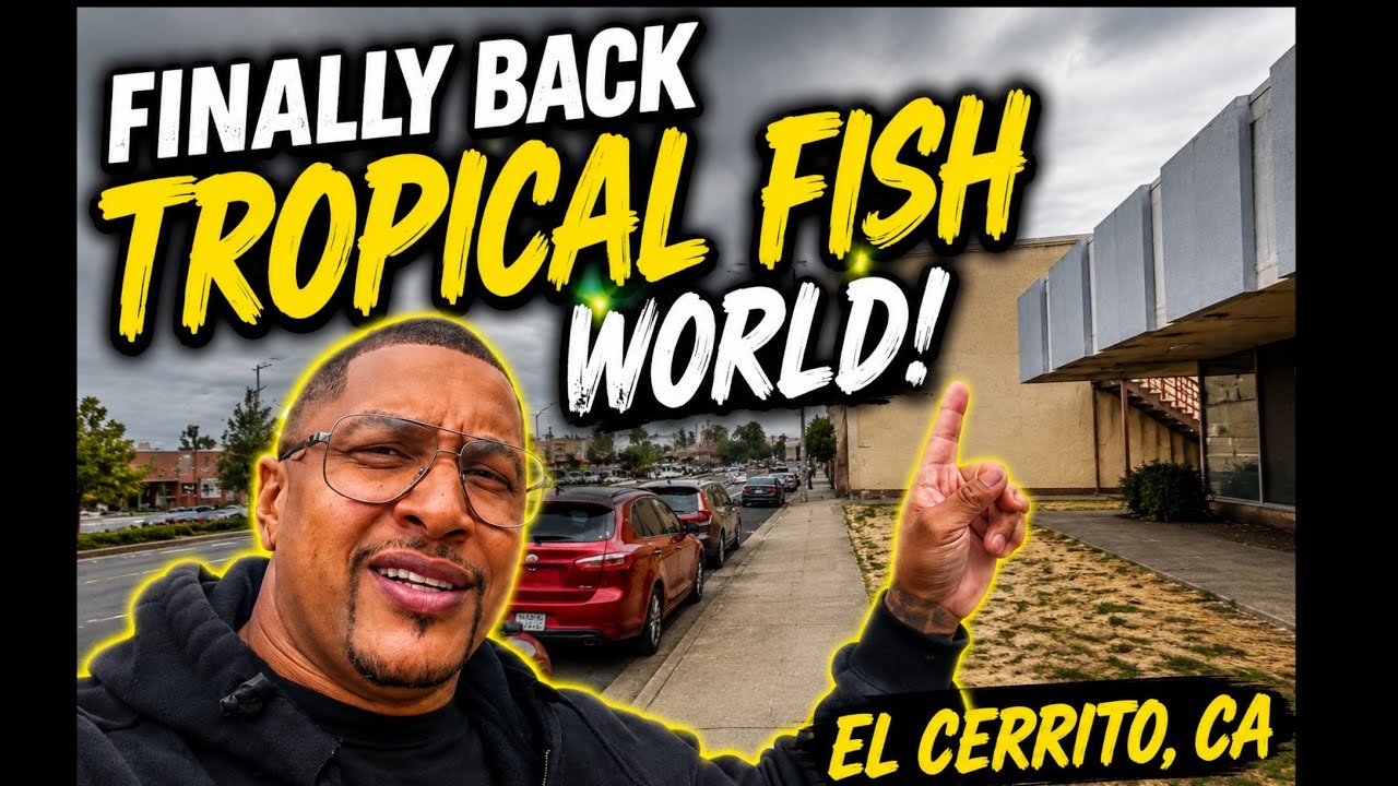 Я НАКОНЕЦ-ТО ВЕРНУЛСЯ! 🐠🔥 | Tropical Fish World &mdash; Обзор зоомагазина в Эль-Серрито, Калифорния!