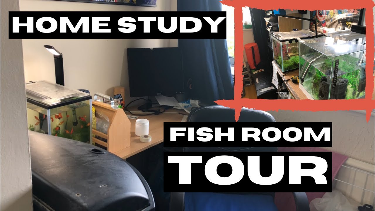 Fish Room Tour | SL30 Home Office Fish Room Build | SL30 Aquatics