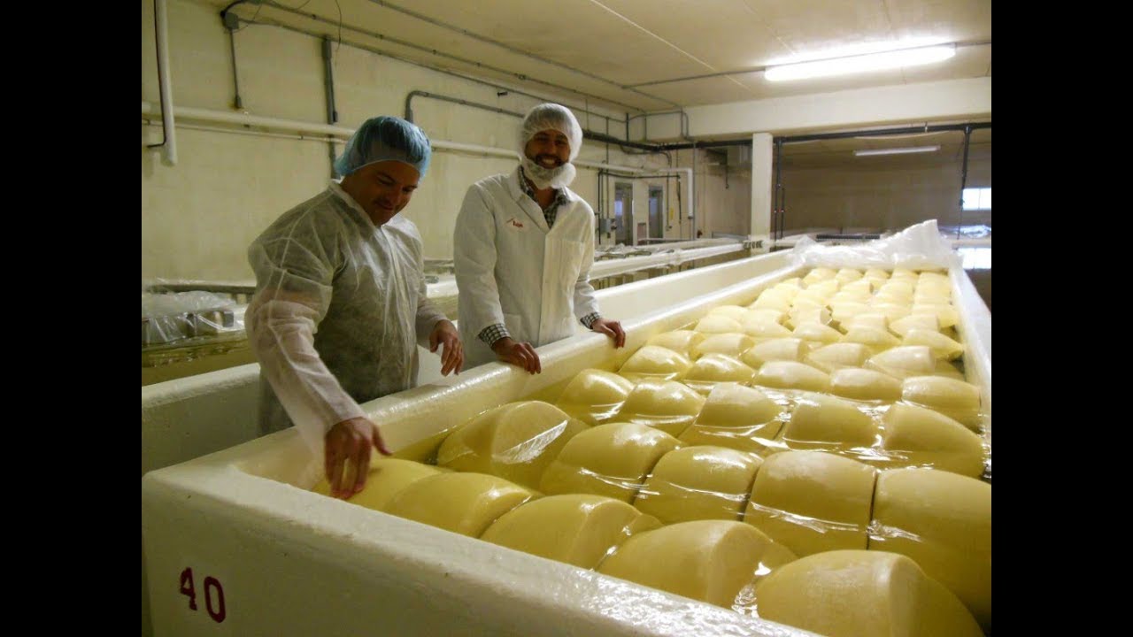 Wisconsin’s Cheese Heritage