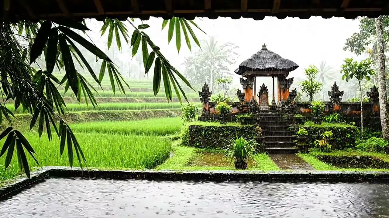 10 Hours of Gentle Rain in a Peaceful Bali Rice Field Temple for Deep Sleep and Meditation Ambience