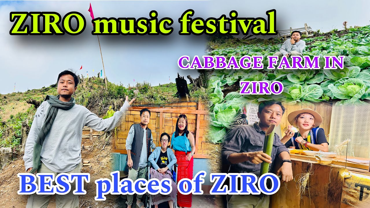 Ziro music festival ||  Cabbage farm up in the mountainwith ​⁠@duyuyabii014 & ​⁠@kuritateh8864