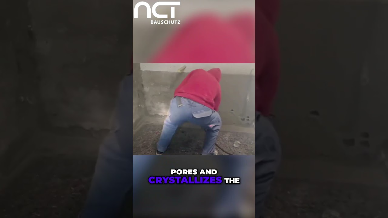 Stop Wall Rot! NCT Crystal: The Ultimate Moisture Solution!