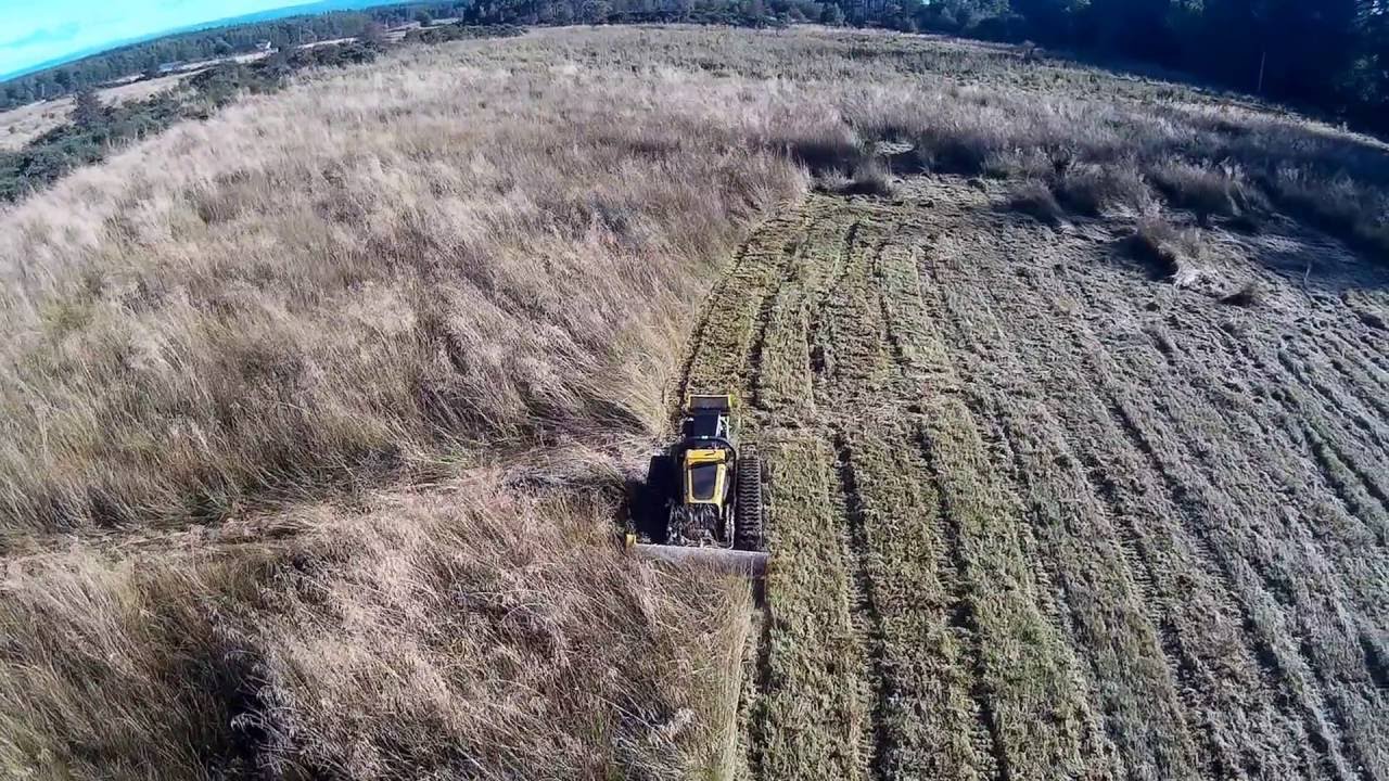 Clearing 6' Rushes
