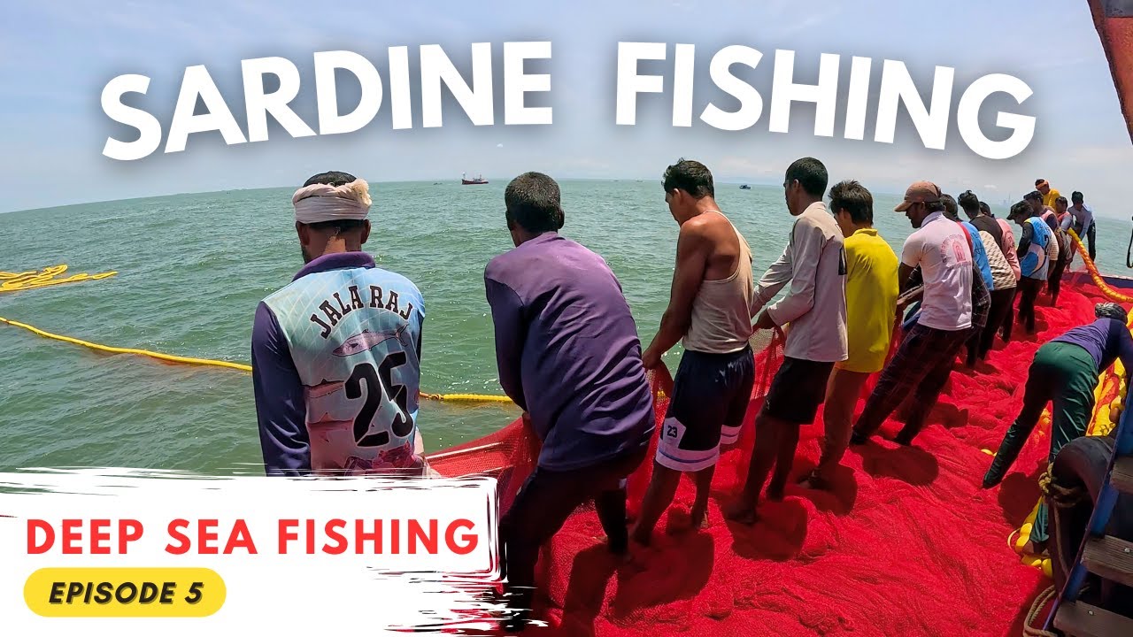 Sardine Fishing | Malpe Purse-seine Boat