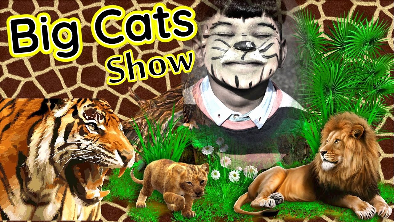 Blackpool Zoo - Tigers & Lions|Big Cats | Lion Feeding |Animal Experience in Tamil| Tamil Vlogs | UK