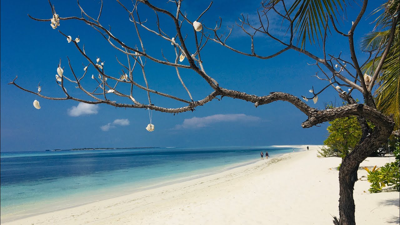 KUREDU ISLAND RESORT - BLISSFUL & STUNNING BEACHES, MALDIVES.