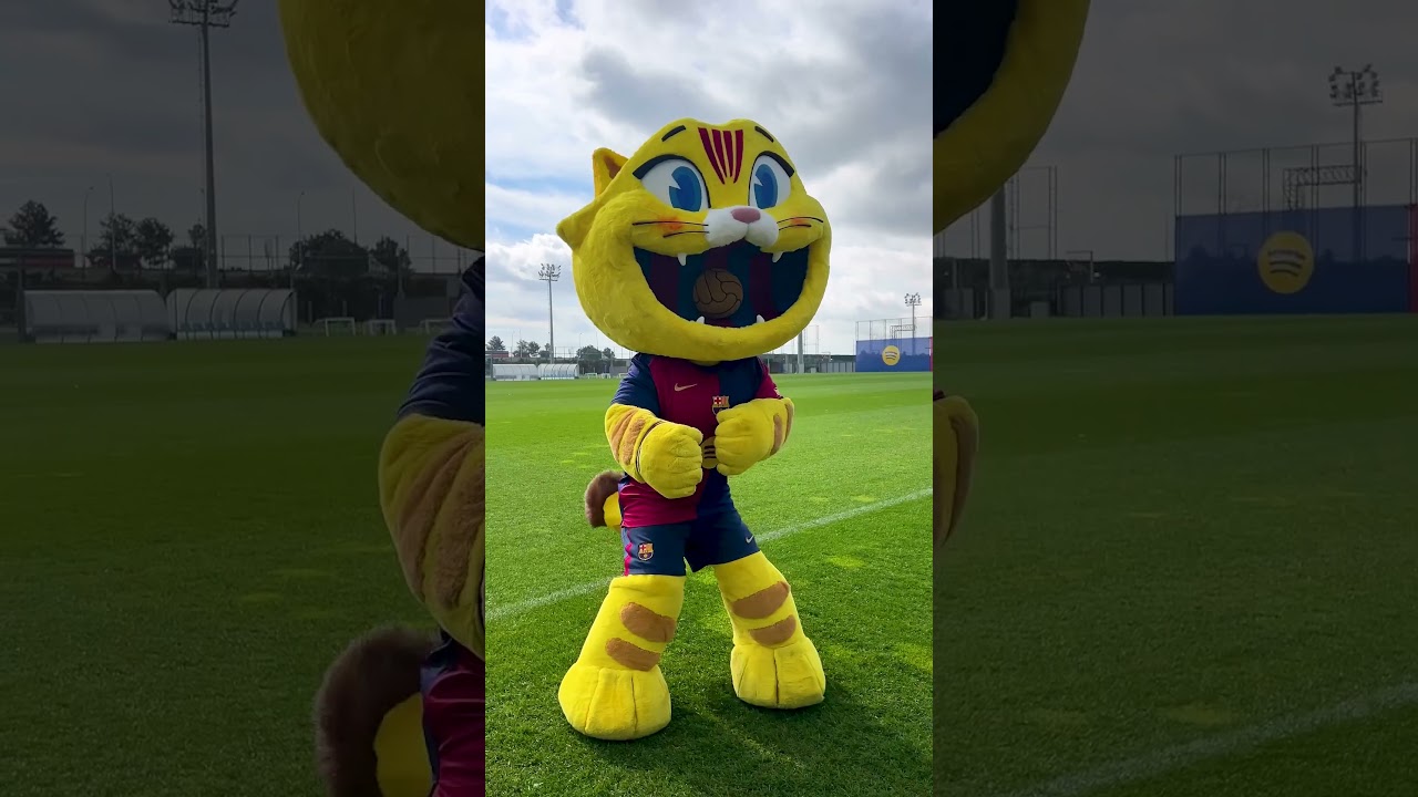 Mood 🐱😂 #fcbarcelona #football #cat #shorts