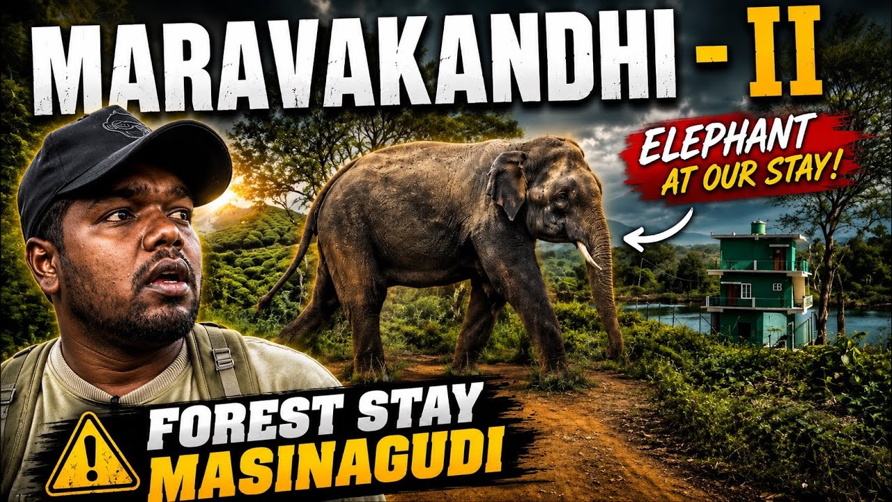MARAVAKANDHI VIEW || MASINAGUDI FOREST REST HOUSE NIGHT STAY LOOKING DANGEROUS😱