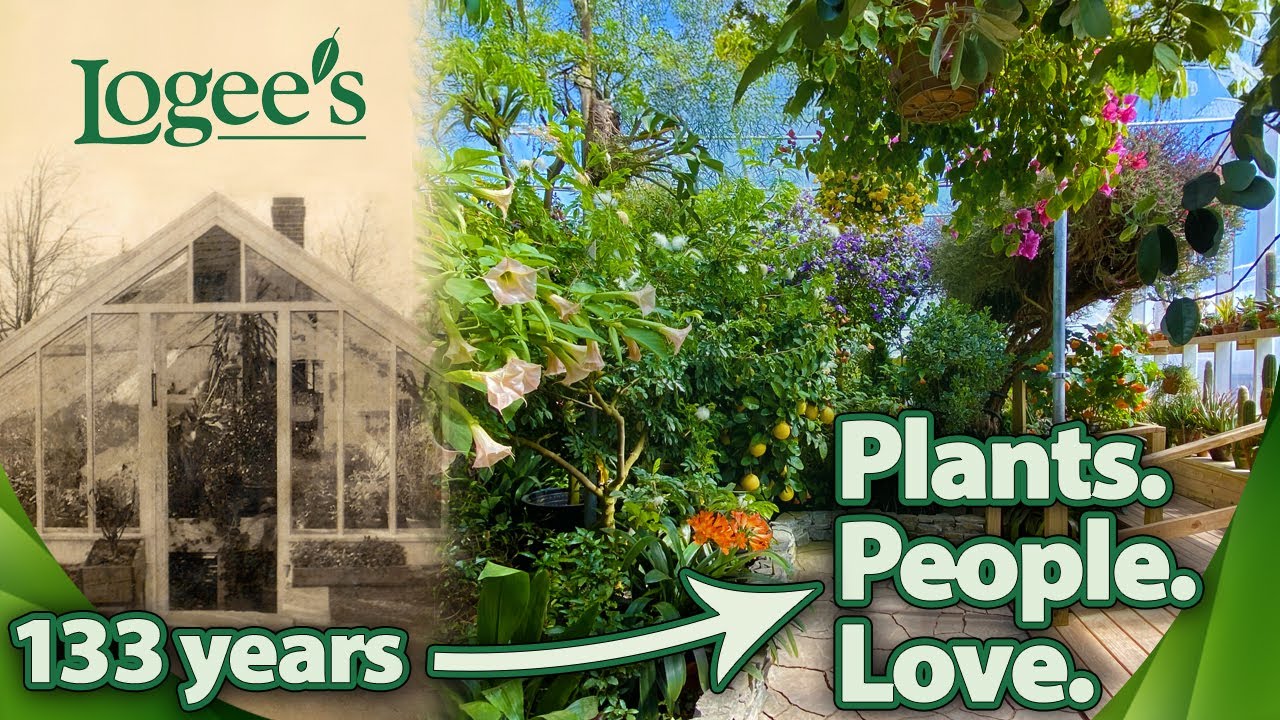 133 YEARS OF PLANTS - LOGEE'S GREENHOUSE HISTORY TOUR