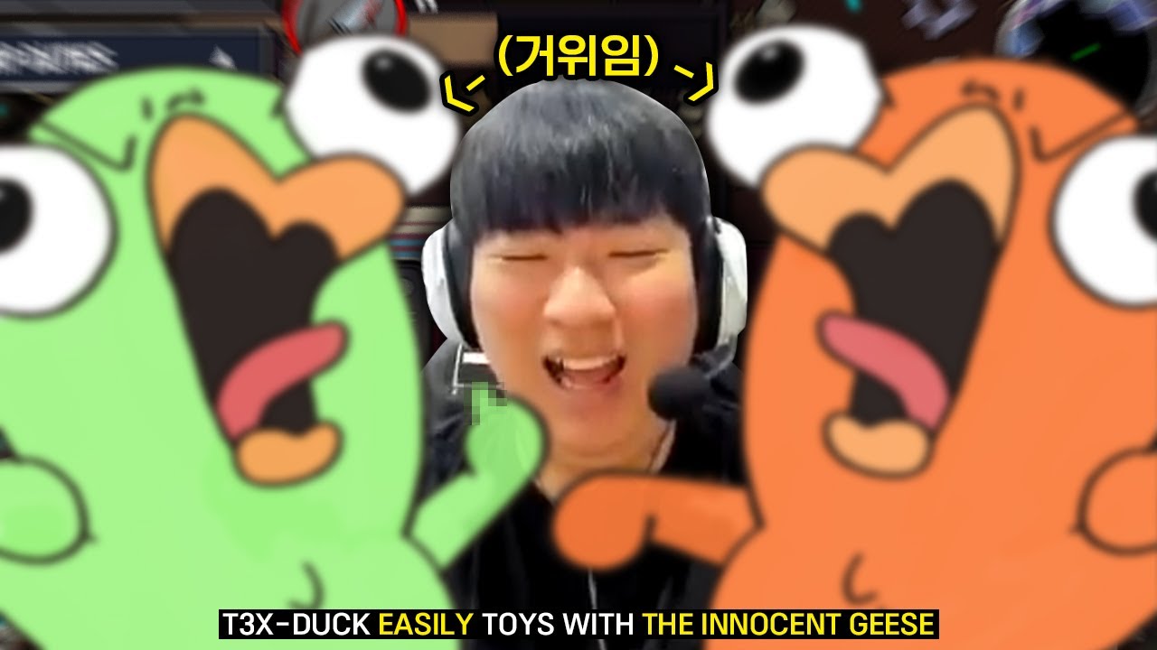 거위들을 가지고 노는 텍오리. 이제 구스구스덕 고인물 다 됐습니다. ㅋㅋㅋ