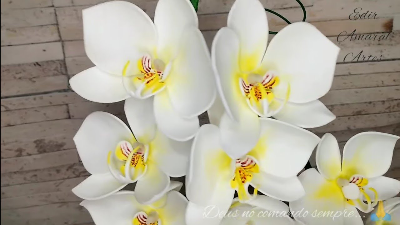 Orquídea Branca de Eva modelada à mão.