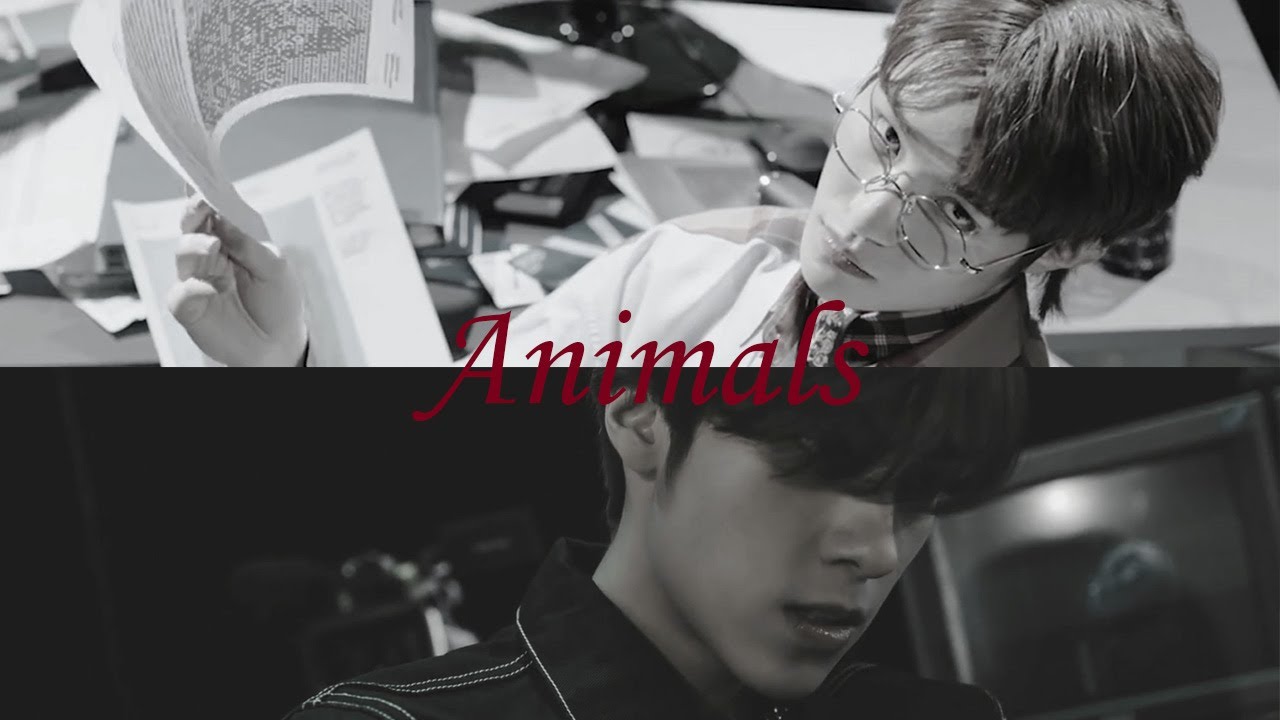 yangyang x hendery｜Underwater / Animals