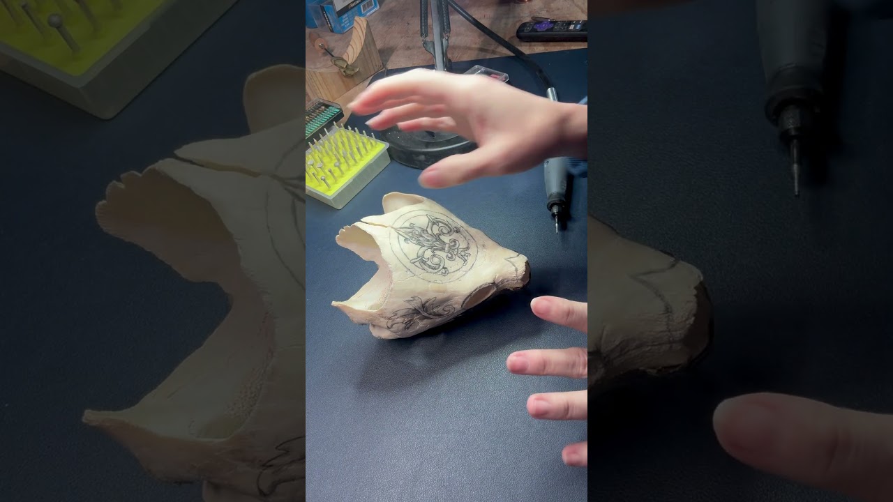 Carving a turtle skull for the first time #dremelcarving #skullcarving #bonecarving #carving