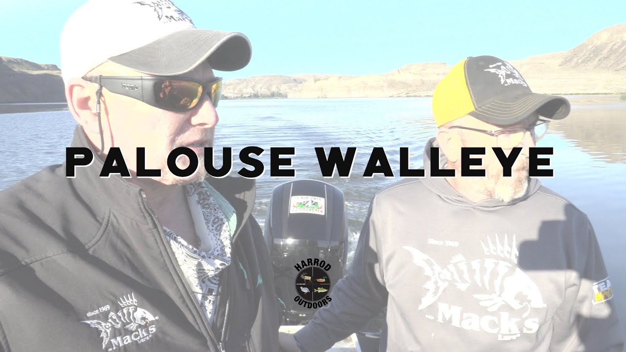 Palouse Walleye