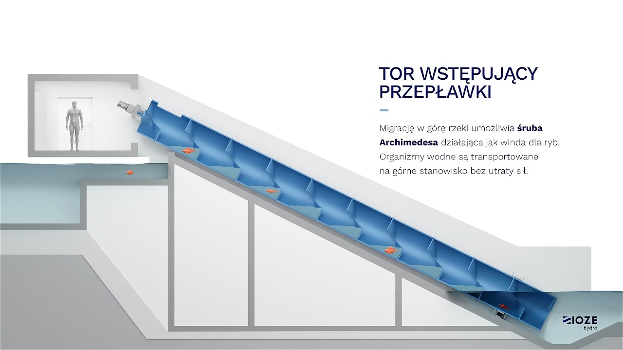 3D Animation of the fish ladder for IOZE