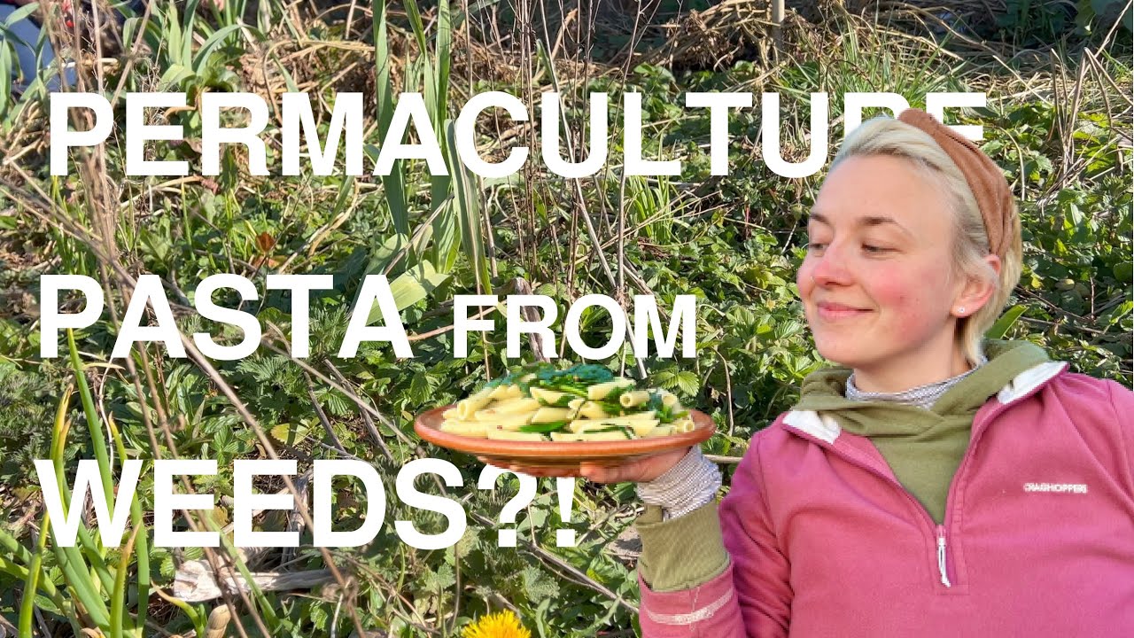 ABANDONED ALLOTMENT BED - RECLAIMING AND EATING