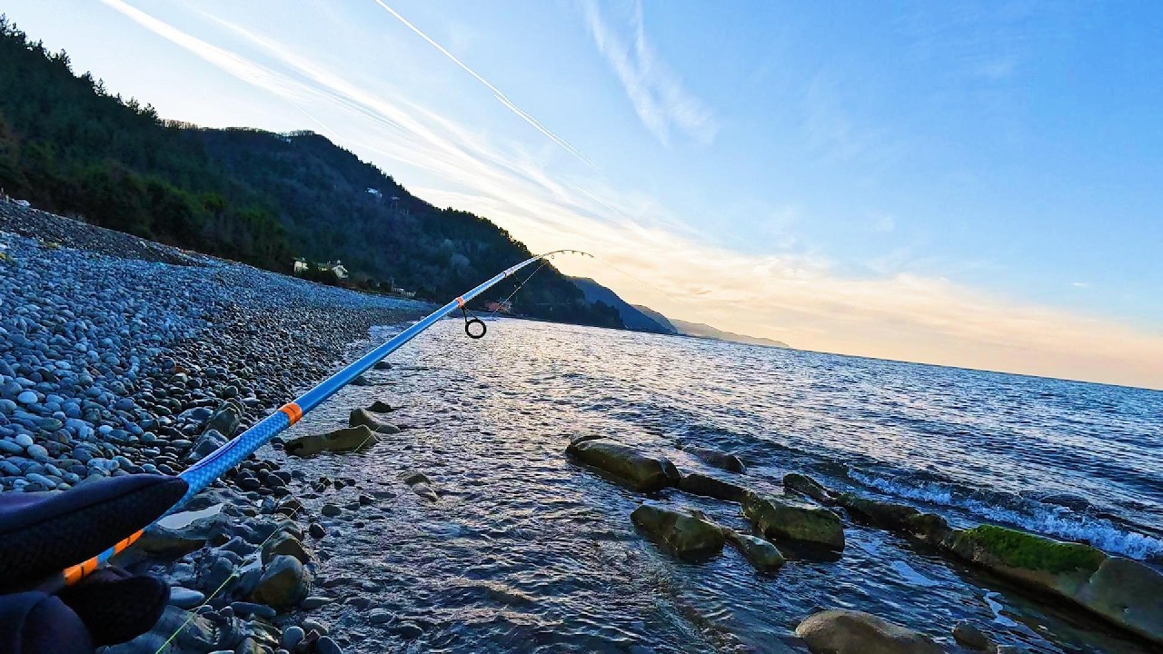 Karadeniz'de Tutulması Kolay Olmayan Levrek Avı ve Gezi