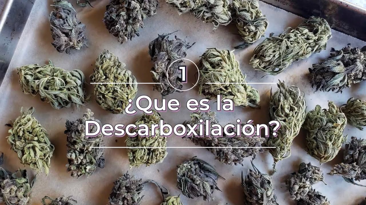 &iquest;Que es la DESCARBOXILACION? || como descarboxilar el CANNABIS || RESUBIDO original 20 abr 2022