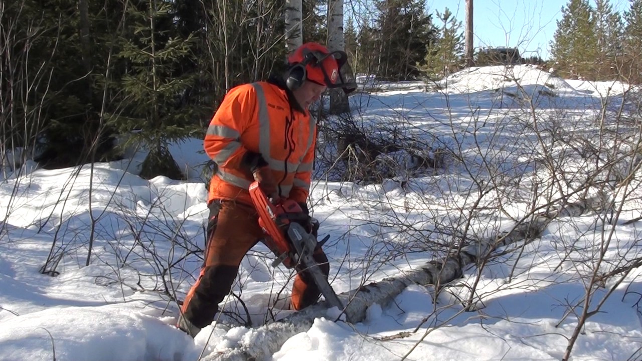 Metsolan Metsäkoulu 12, Moottorisaha, karsinta