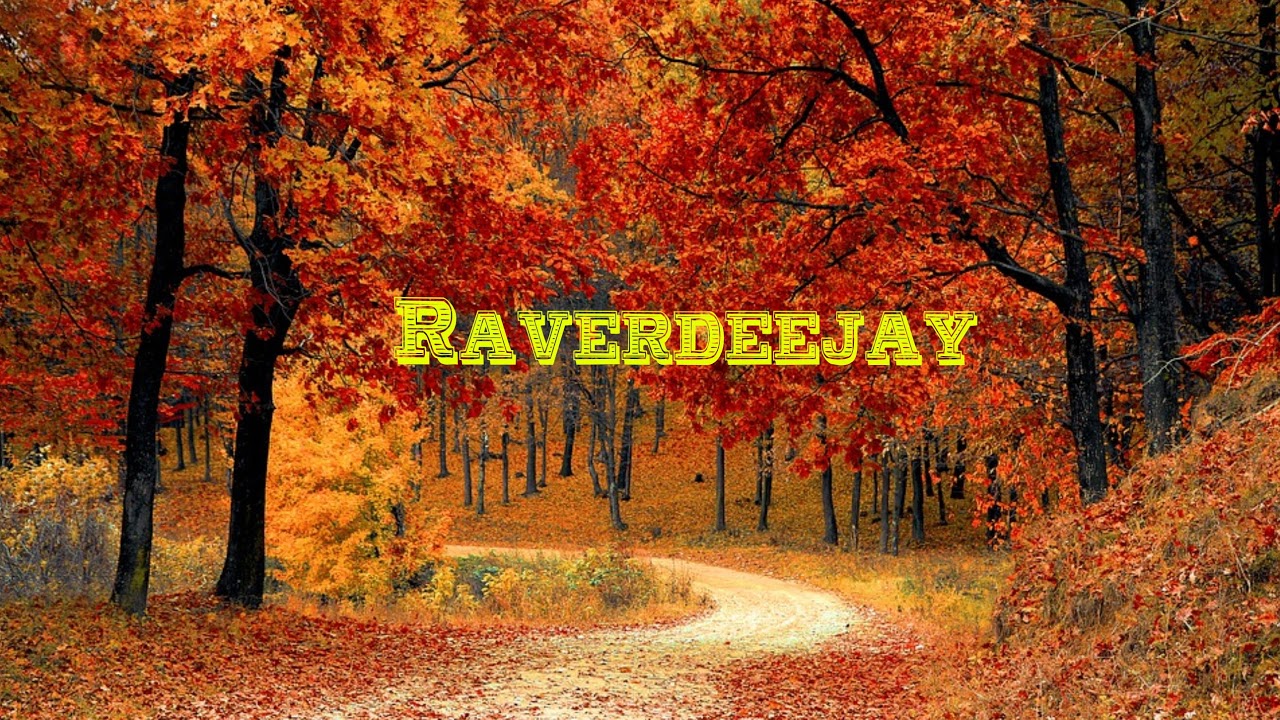Podcast Raverdeejay - 26 Songs April und Mai 2024