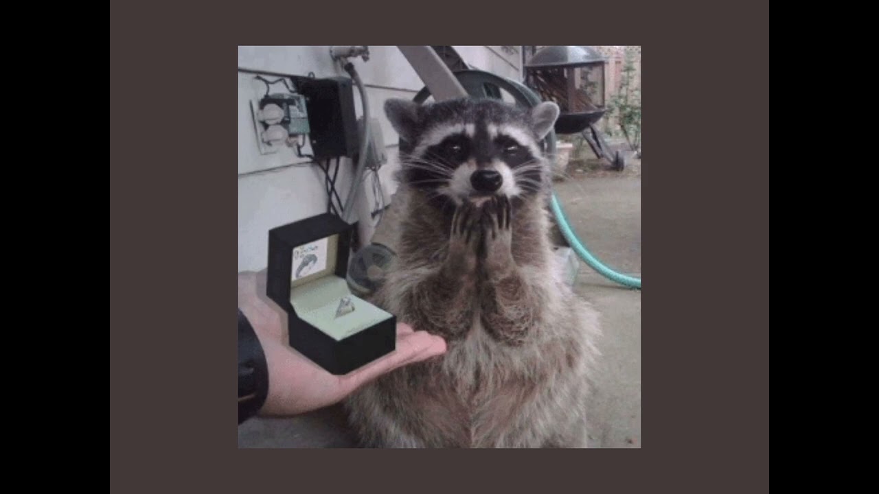 marry me - jason derulo ( s I o w e d )