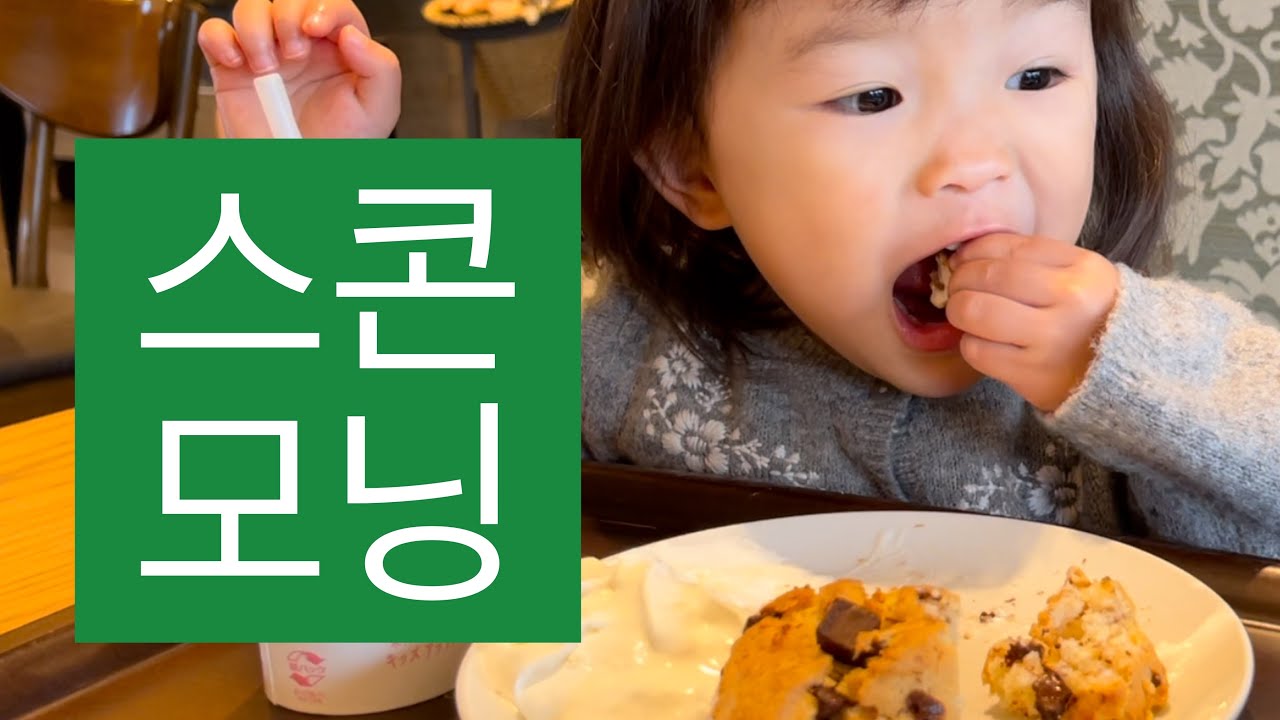 스콘 모닝☕️🍪🥤
