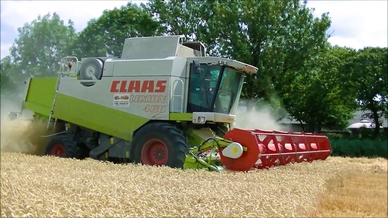 Tarwe dorsen / Wheat harvest / Weizen Dreschen / CLAAS  lexion / Fendt Farmer / Case IH Maxxum