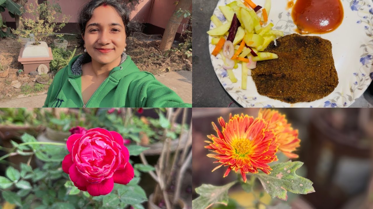 আমার দেশ, আজকের সূর্যোদয় আর বাড়ির ছোট্ট সুখ 💛 | India Vlog