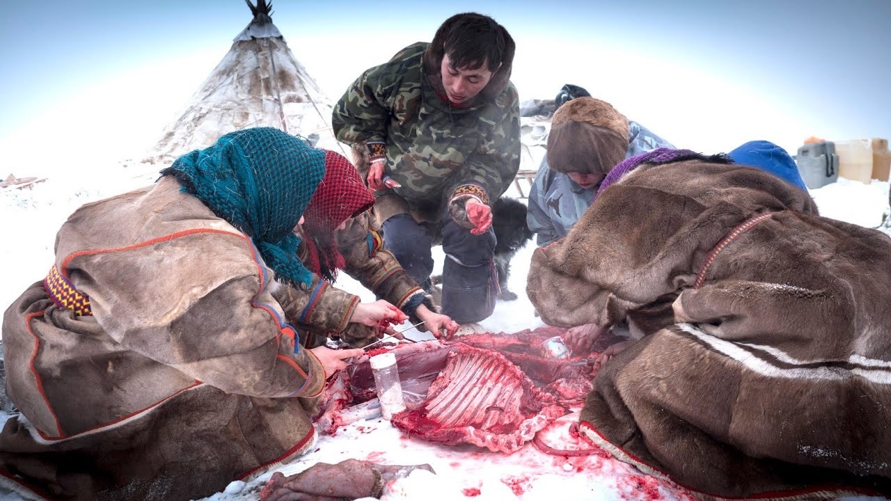 Кровь оленя — эликсир выживания при -50°C. Жизнь эвенков — одного из последних племен Арктики