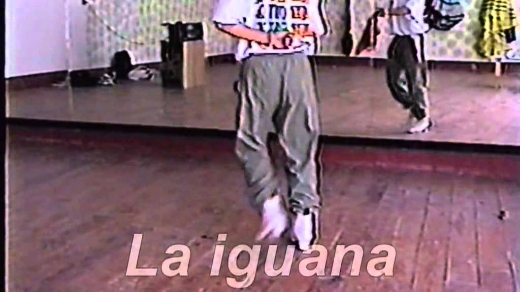 PASOS DE SONES DE TARIMA - TIXTLA GUERRERO