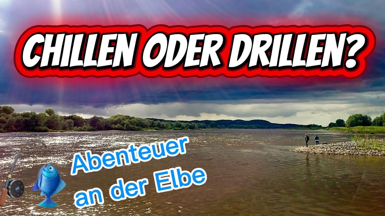 Elbe: Angeln auf Zander & Hecht + Gewinnspiel🐟🎁!