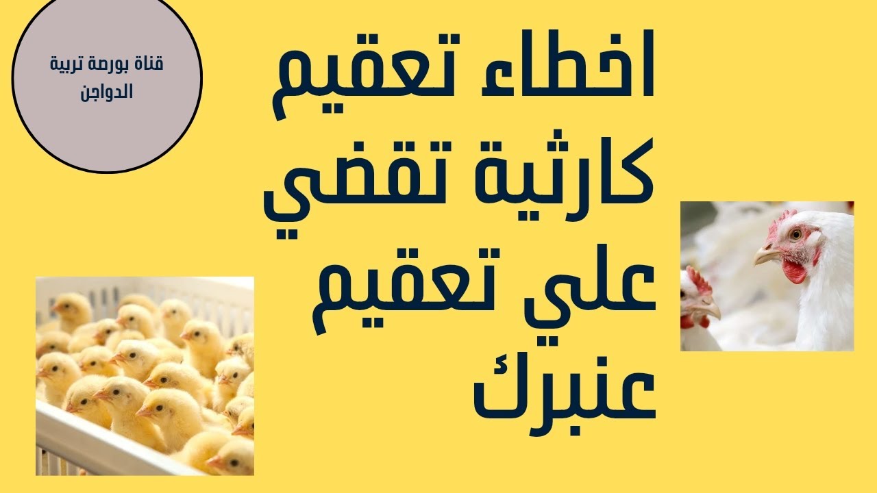 تعقيم وتطهير عنبر الدواجن وقتل الفيروسات (اليود-الكلور_الفورمالين_الصودا الكاويه_فاركون اس_الجير)